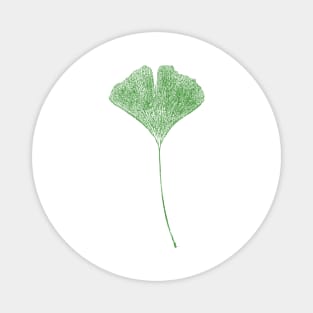 Gingko Leaf - Stamp Magnet